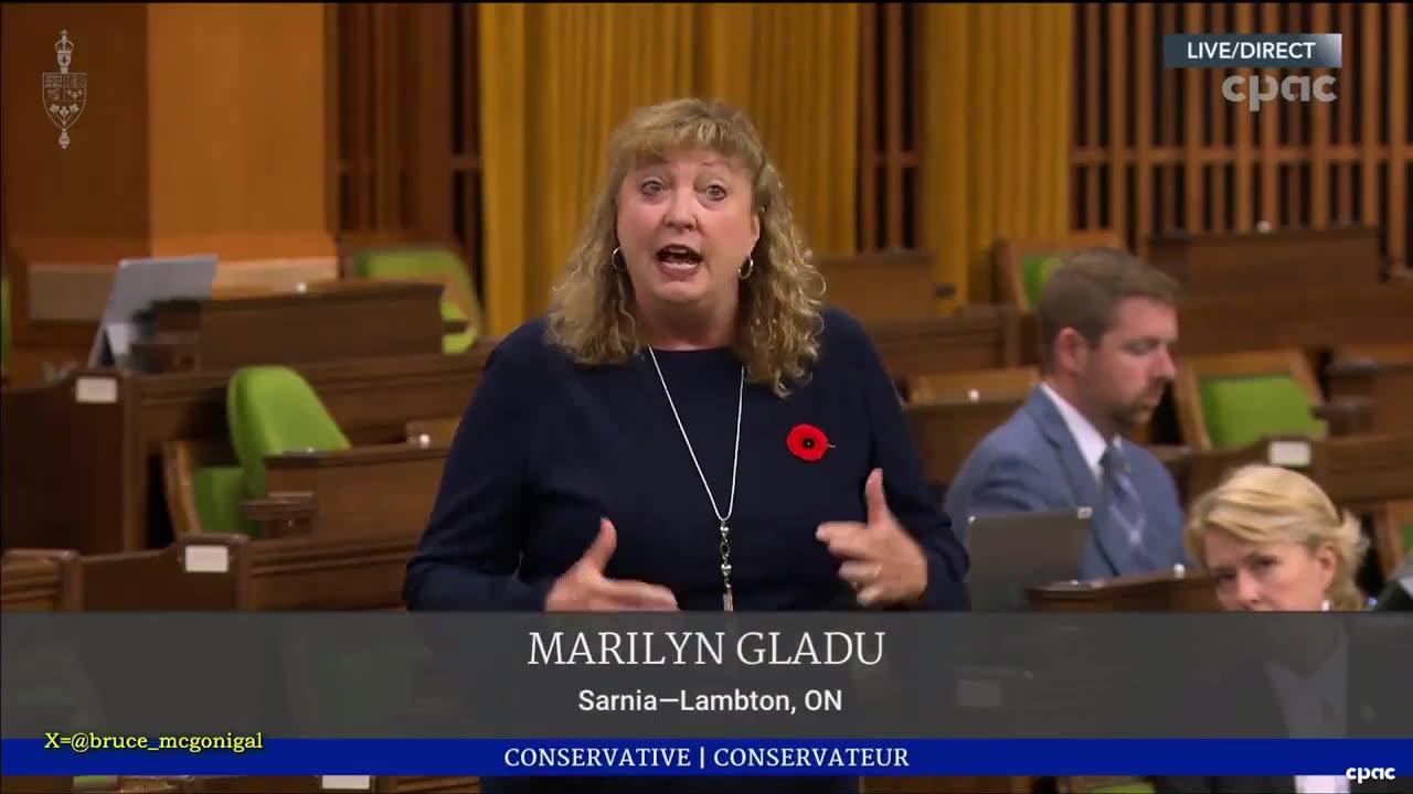 MP Marilyn Gladu speaking up Charter of Rights