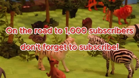 Meet the Wild Animals! New Animal Stories on the Way!