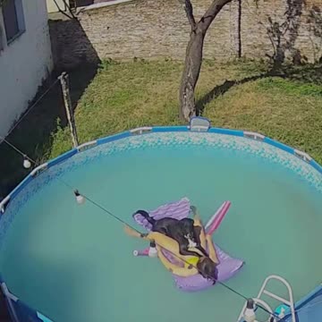 Spending some quality time at the pool