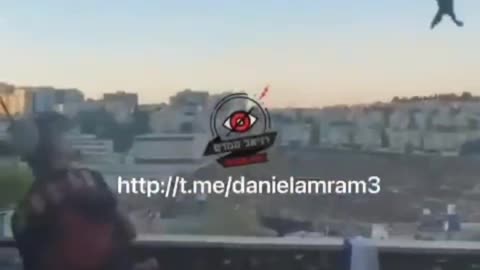 Tiny hats Throw kitten off building into traffic