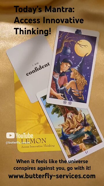 Butterfly Insightful Daily Tarot - Tips on how to project confidence, when you don't feel it!