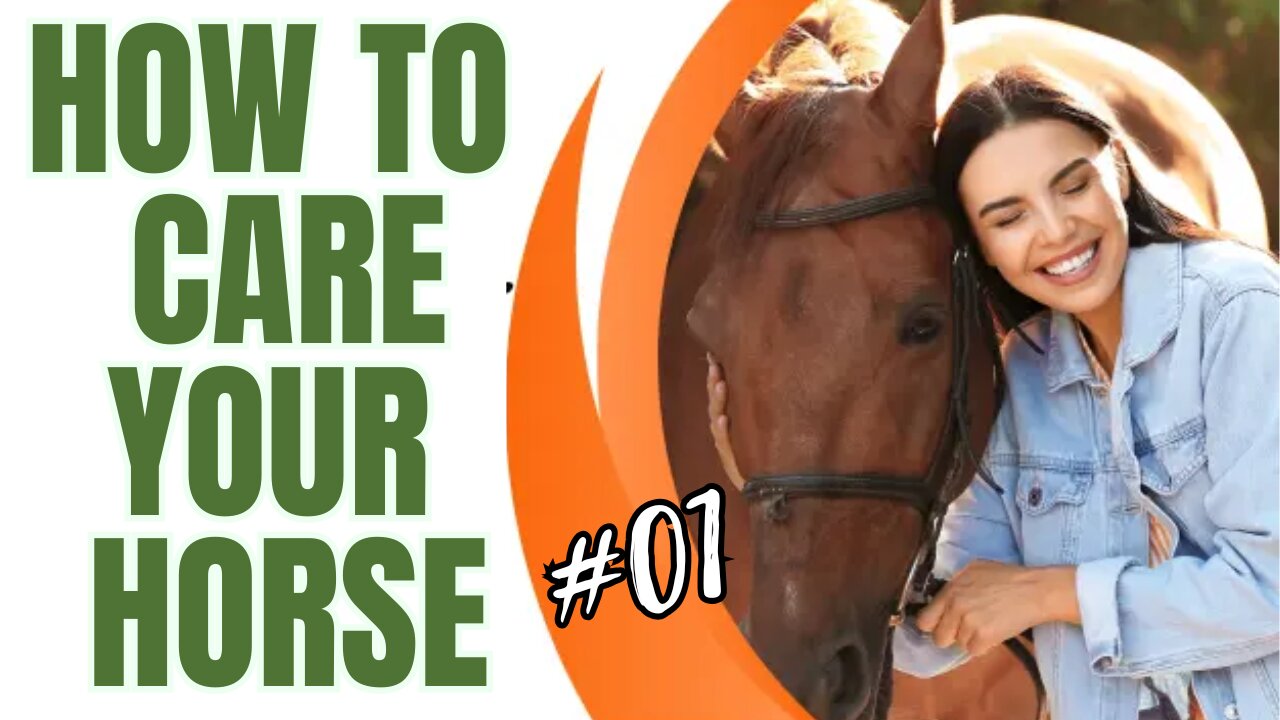 How To Care Your Horse , My Sister Learn How To Give Food To Her Horse #01