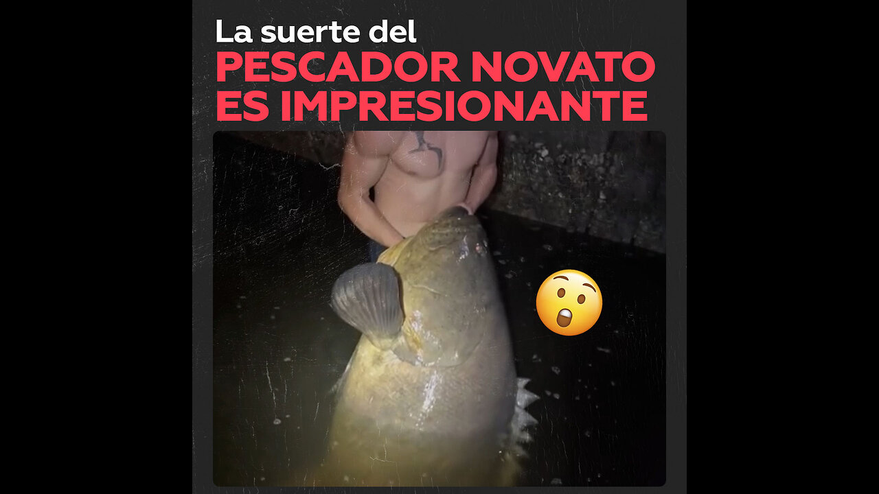 Hombre sorprende al pescar pez gigante en su primer intento