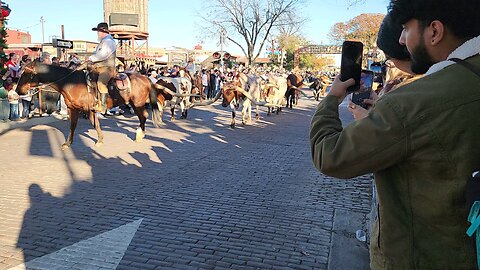 Texas Longhorns