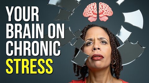 5 Ways Chronic Stress Alters Your Brain and How to Safeguard Your Mental Well-Being | Dr. Tracy Marks