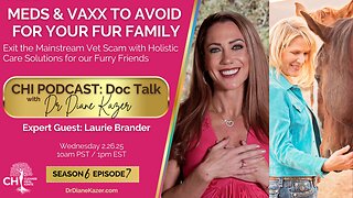 MEDS & VAXX TO AVOID FOR YOUR FUR FAMILY: Exit the Mainstream Vet Scam with Holistic Care Solutions for Our Furry Friends