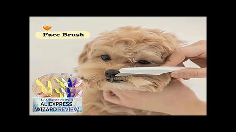 1/2pc Pet Hair Shedding Comb Stainless Steel Flea Comb for Cat Dog Review