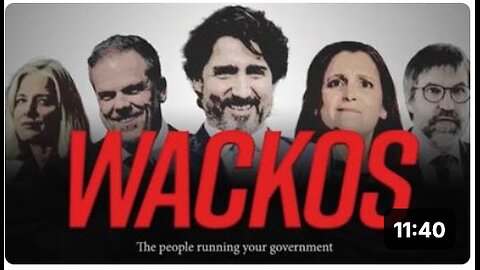 WACKOS: the weird, wild, woke & wonderful world of the people running our country