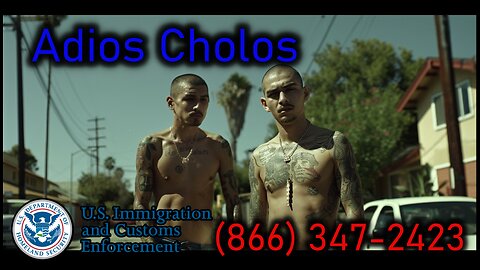 Report A Cholo Today (866) 347-2423 | So Much Winning