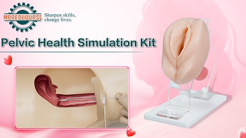 Vaginal and Pelvic Exam Training Model New Detachable Design