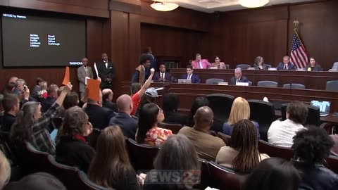 Tennessee House Erupts as Democrat Confronts Republican Over Gun Violence