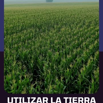 La Riqueza que Deja Atrás a una Generación