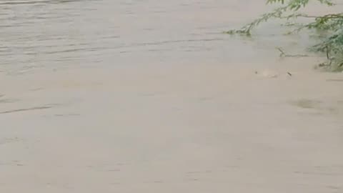 Heavy rain crushed road