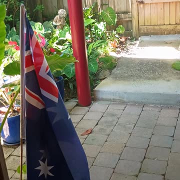 10.1.2025 In Preparation