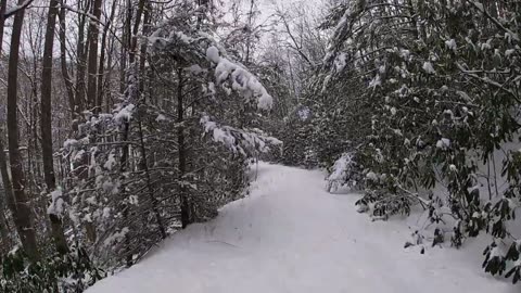 Snow hike to Saunders Shelter