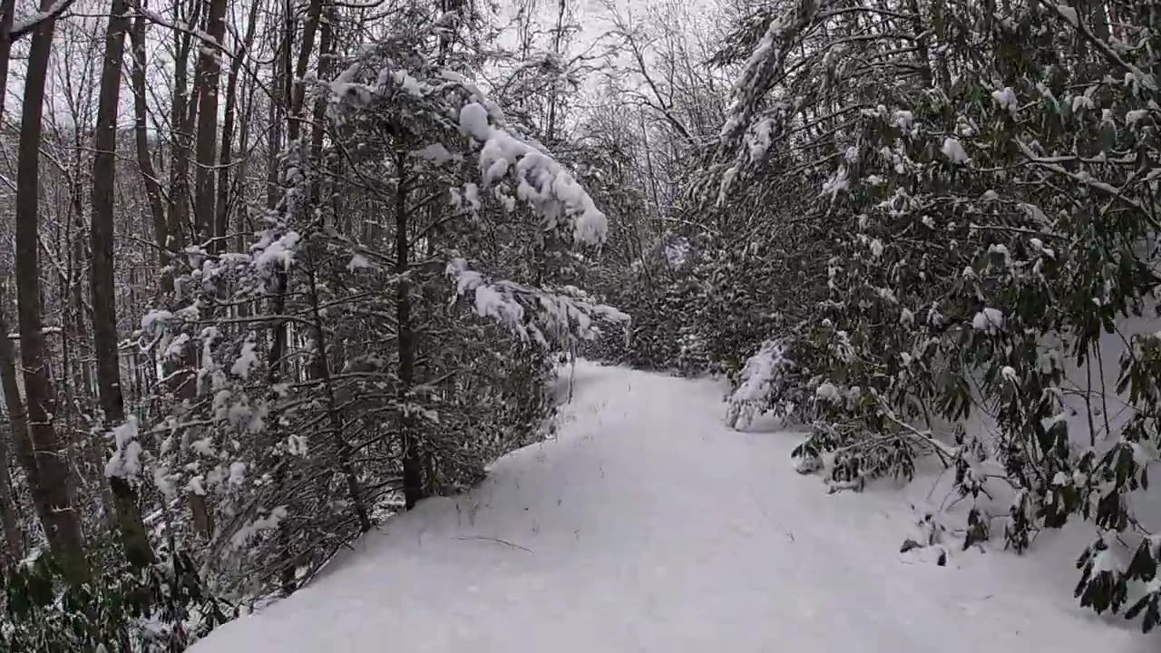 Snow hike to Saunders Shelter