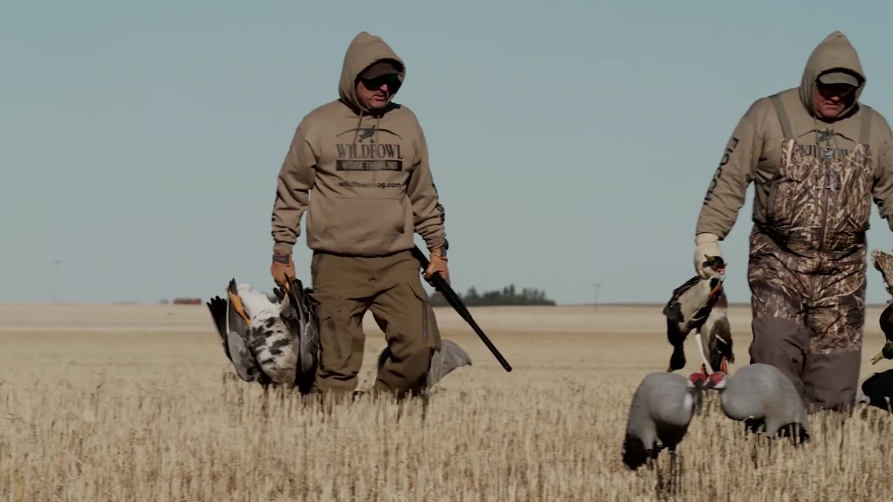 The Importance of Scouting for Waterfowl - Inside the Blind