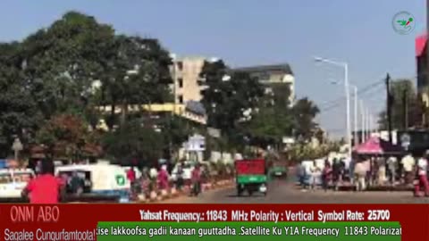 Oduu Waaree ONM-ABO Amajjii 24-2025 itti dhiyaadhaa!