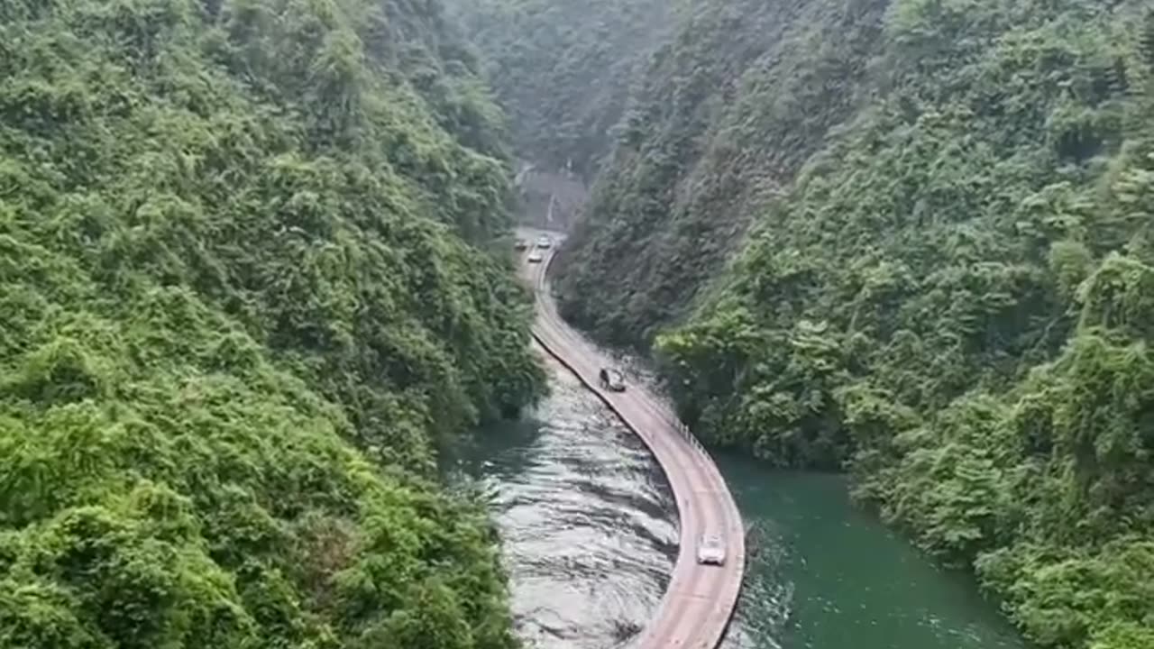 💫 Remarkable Swing Bridge