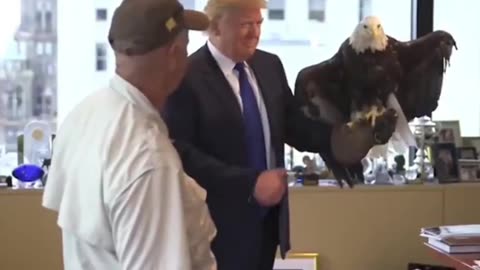 Trump and the eagle