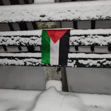 "HANDS OFF PALESTINE" rally and march TODAY in New York City.