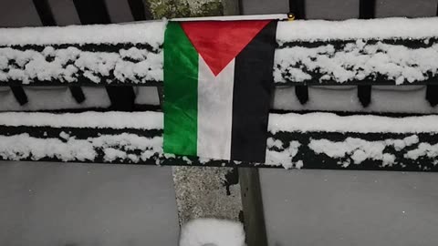 "HANDS OFF PALESTINE" rally and march TODAY in New York City.