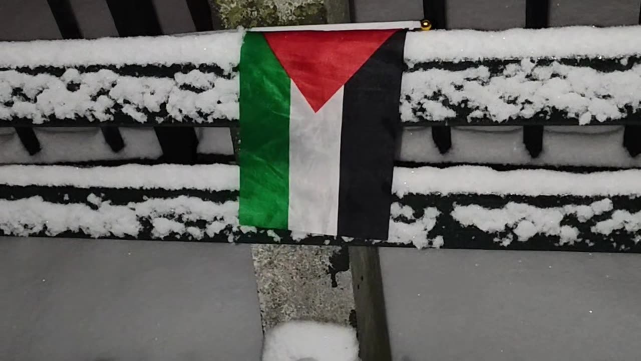 "HANDS OFF PALESTINE" rally and march TODAY in New York City.