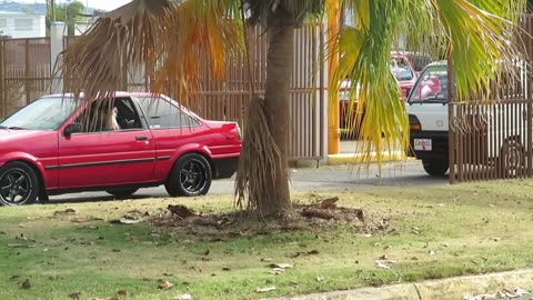 Classic Cars at Añasco, Puerto Rico part#1