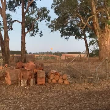 If You're Inside, Get Your Butt Outdoors For The Full Moon in VIC