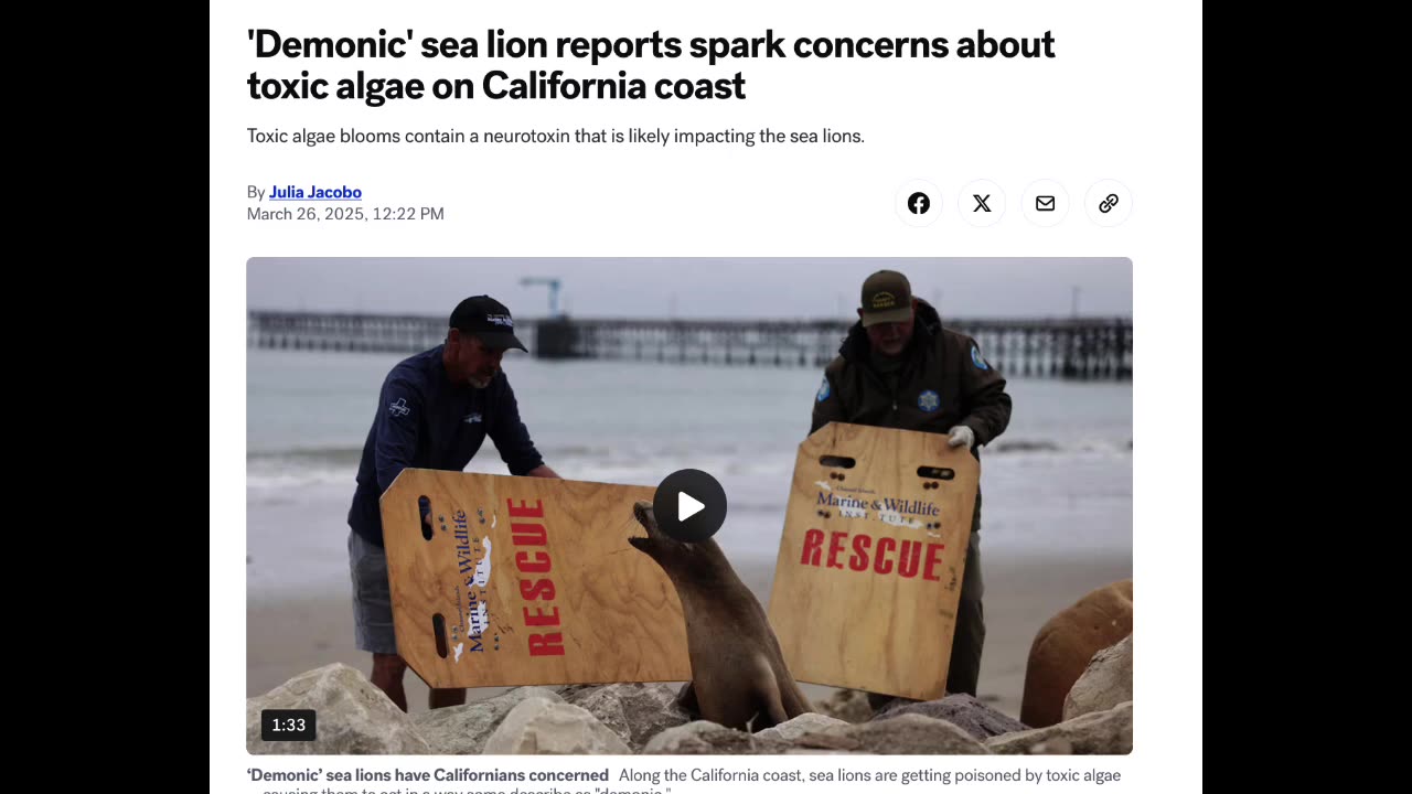 DEMONICALLY POSSESSED SEA LIONS ATTACK IS NOW A THING...