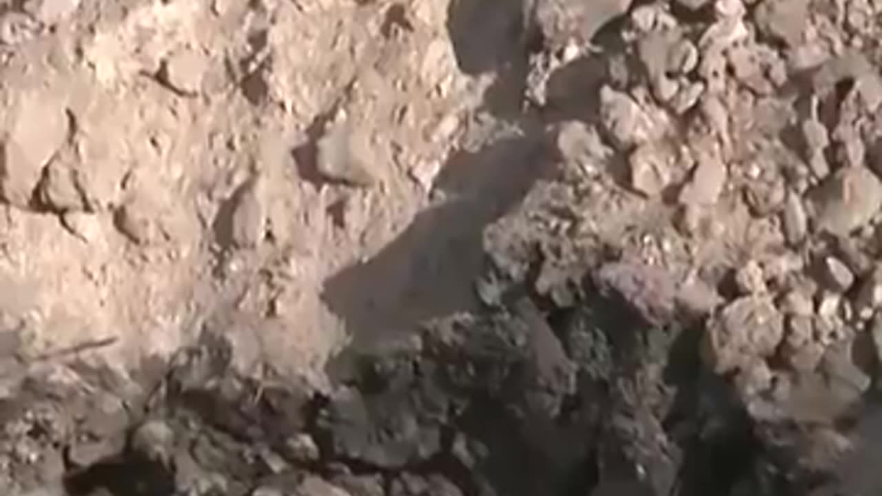 Yemen's Houthis fire ballistic missile at central Israel