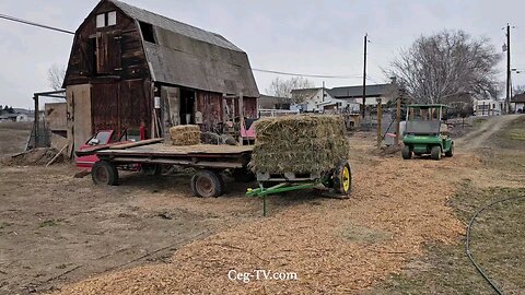 Graham Family Farm: 11:45 AM March 2 2025