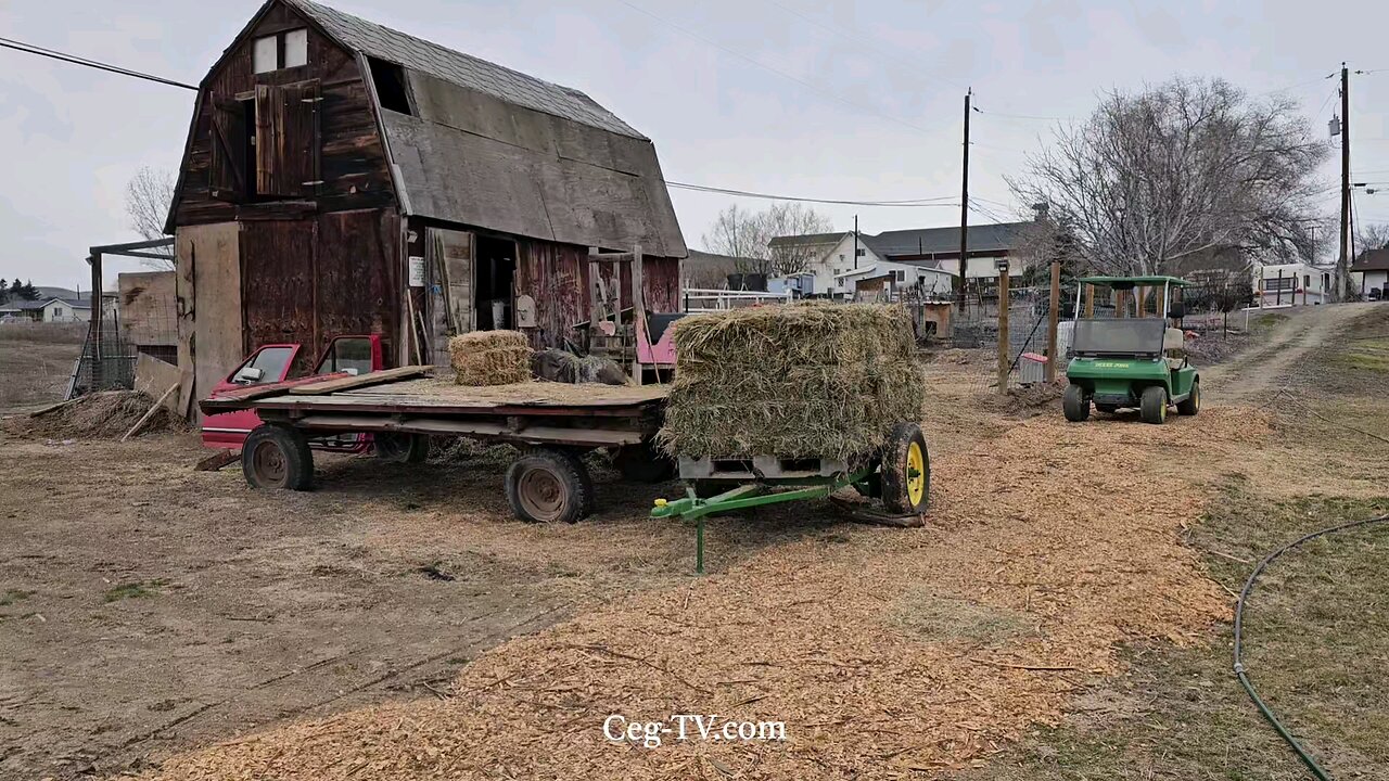 Graham Family Farm: 11:45 AM March 2 2025