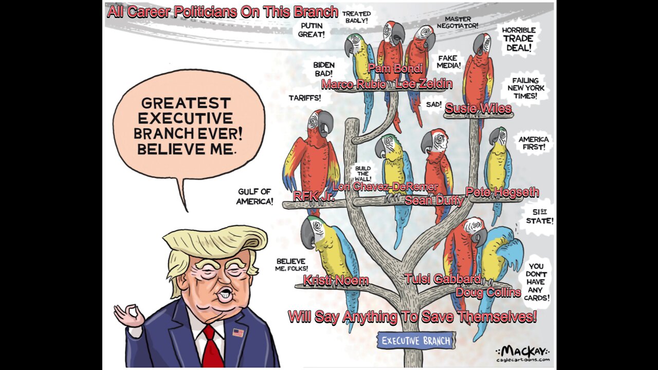 The P.C. Crowd(Political Cartoons)