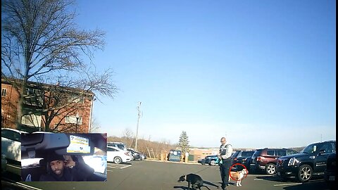 Dog owner allows dog to pee on someones car | Vlog with VE