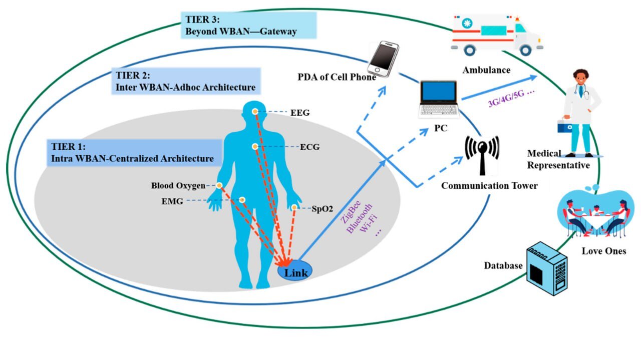 Experts on vasculature ~ ( blood flow )