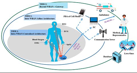 Experts on vasculature ~ ( blood flow )