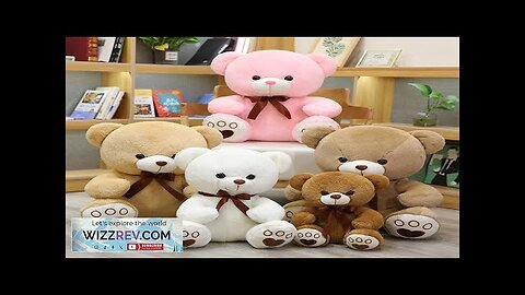 High Quality 35/50/60CM 5 Colors Lovely Bow-Knot Teddy Bear Doll Stuffed Animal Review