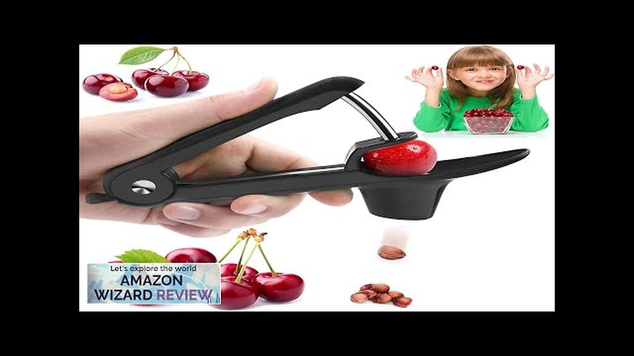 Cherry Pitter Olive Pitter Tool Cherry Pitter Tool Remover Fruit Pit Core Review