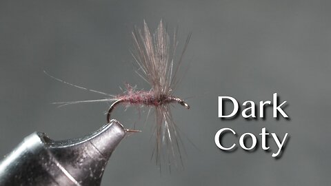 Dark Coty: a Ray Bergman / Victor Coty dry fly pattern