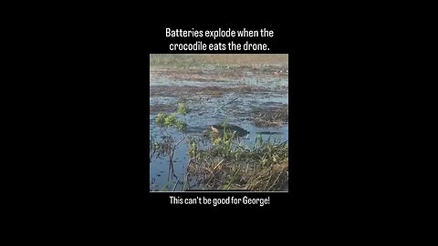 Crocs eats Drone and Explode