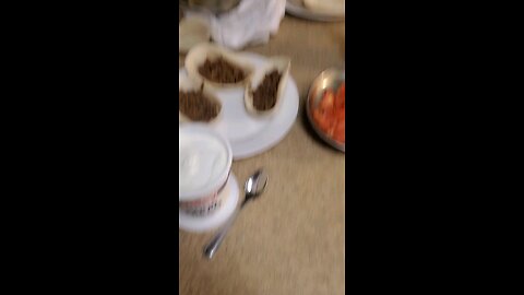 Taco Tuesday