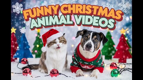 Funny Christmas Animal Videos – Cats and Dogs on Holidays 🎄🐱🐶