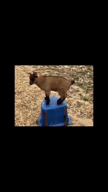 Never Ending Story…