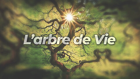 L'arbre de Vie | malibertv. tv