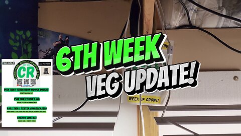 CR's 2024 Fall Grow Unreleased Seeds/Plants 6th Week Veg Update!