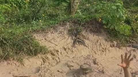 Snapped Branch Splashes Man Into Muddy Water