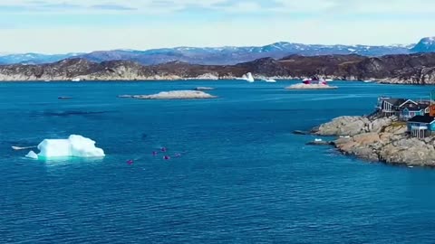 Buying Greenland is pretty Hilarious #BOVCAST #greenland