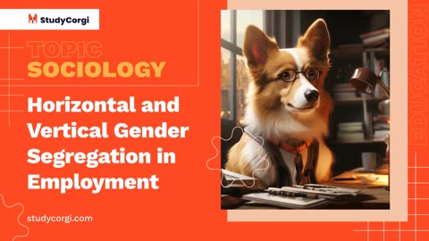 Horizontal and Vertical Gender Segregation in Employment - Essay Example