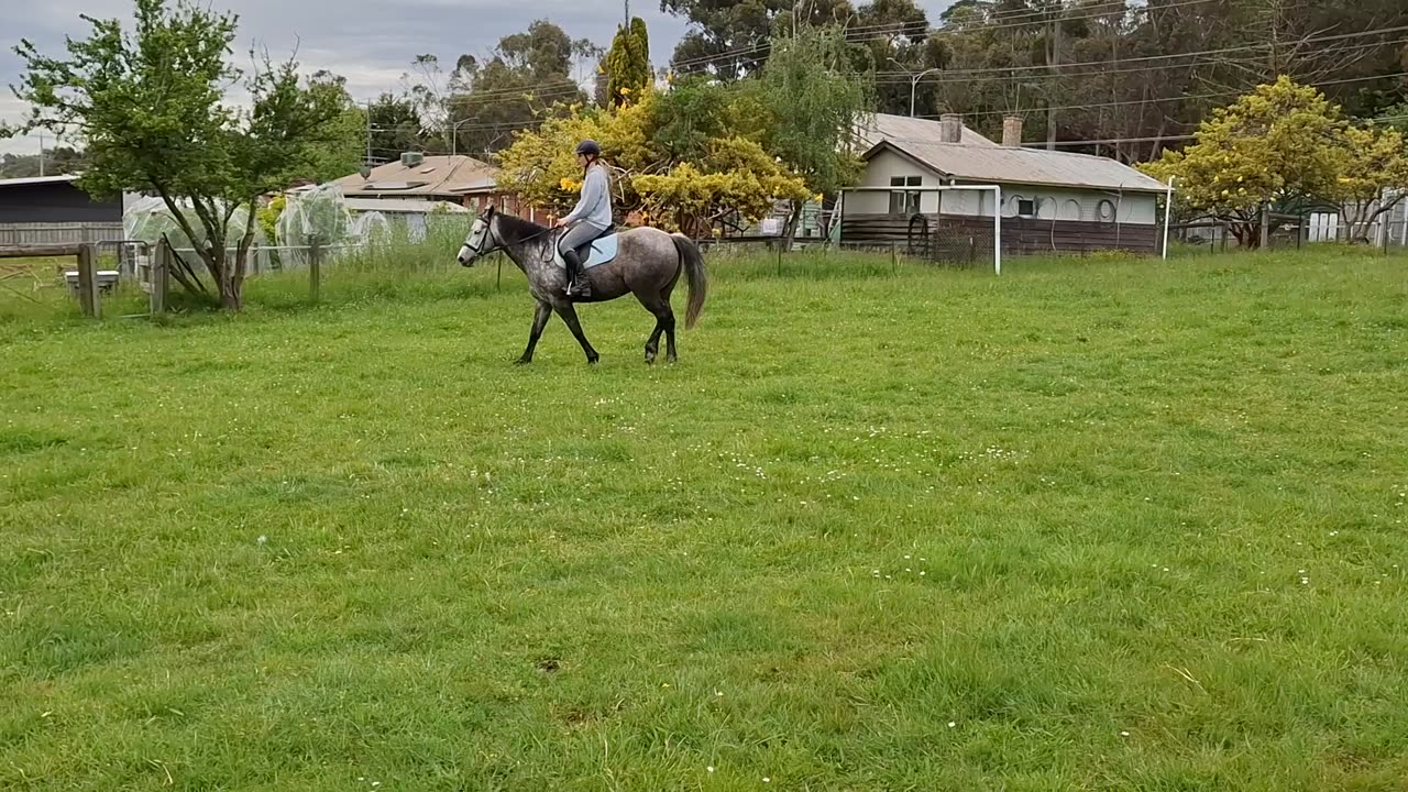 4- A little Canter, hurry up, it's starting to rain.